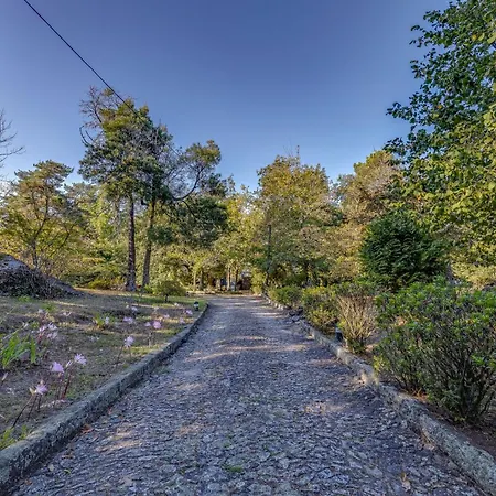 Quinta De Santa Luzia Prázdninový dům *