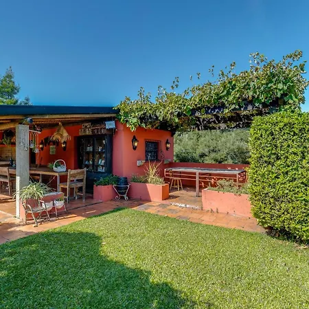 Дом отдыха Quinta De Santa Luzia Санту-Тирсу